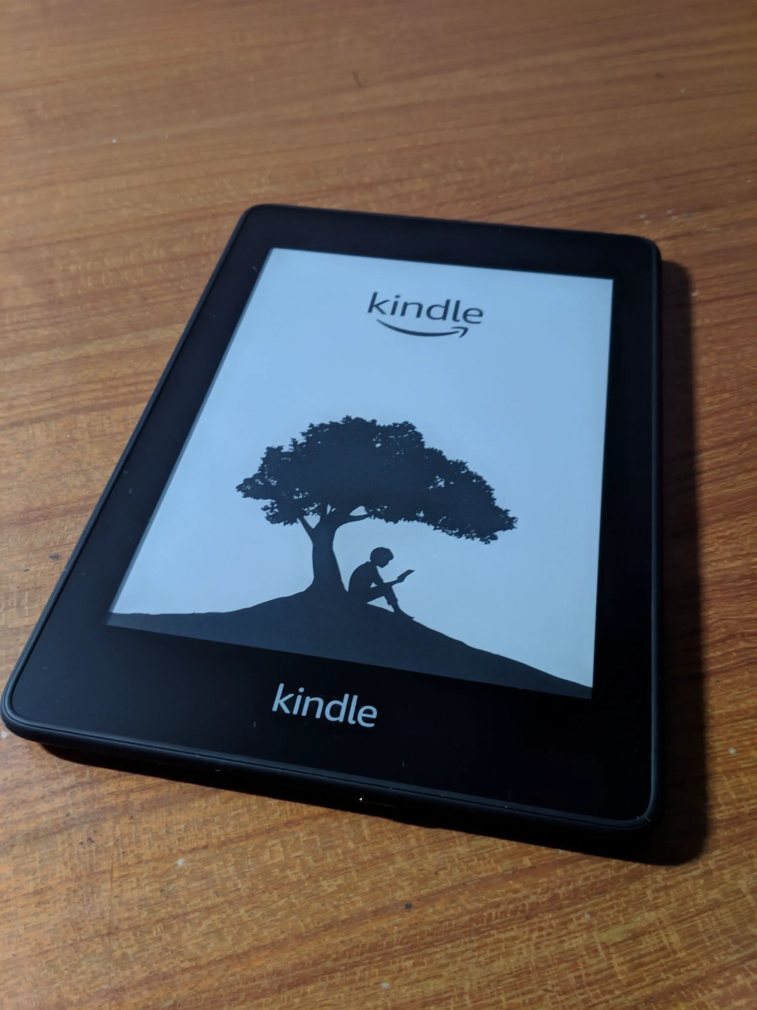 开机界面，经典的一棵树下坐着一个小孩手里拿着 Kindle 看书的 Logo