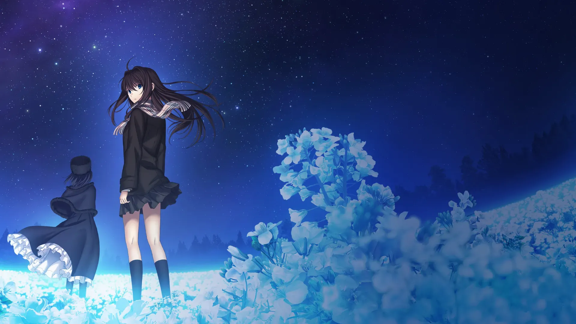 《魔法使之夜》动画 PV 截图